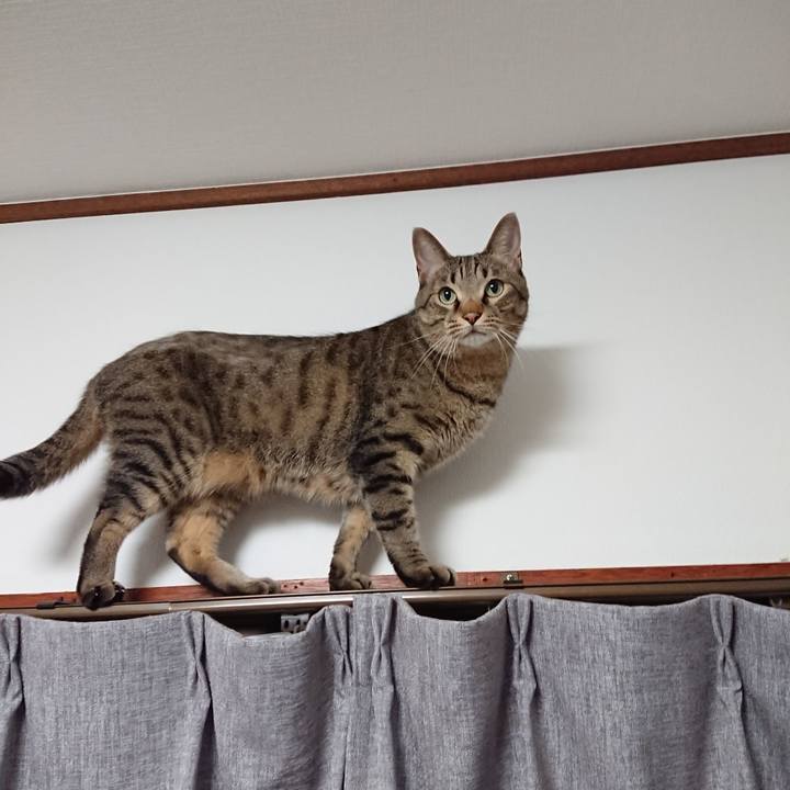 988c20ab e016 44e0 970d c57a694566ed 1565779016185