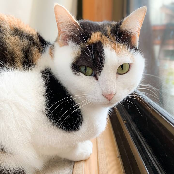 988c28b3 3e13 4640 9e0c a34f0ea0d748 1580607305691