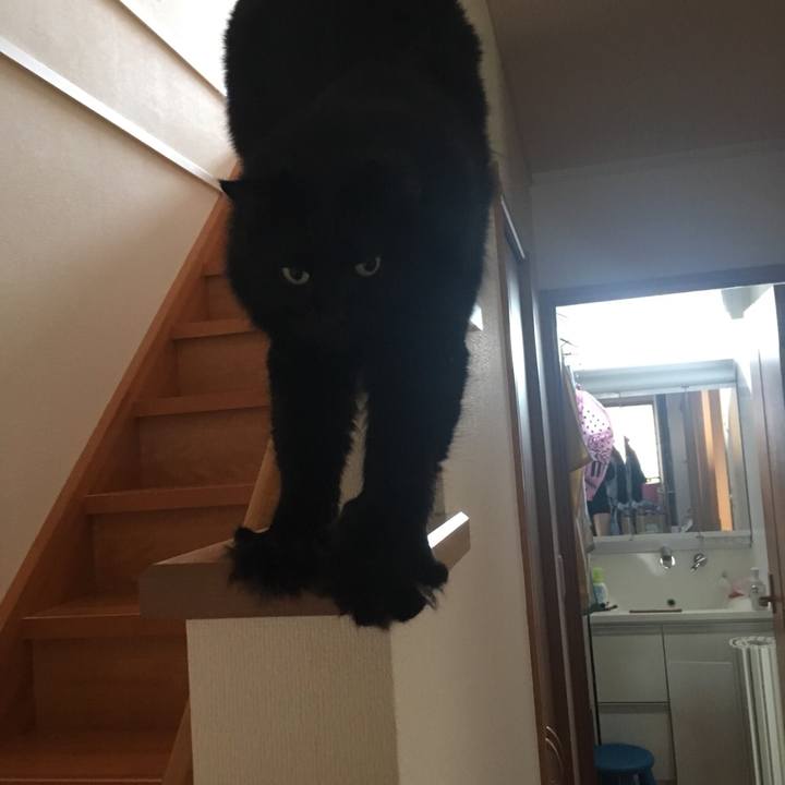 988c316a e9f5 4063 abb2 44c64a610788 1535442639392