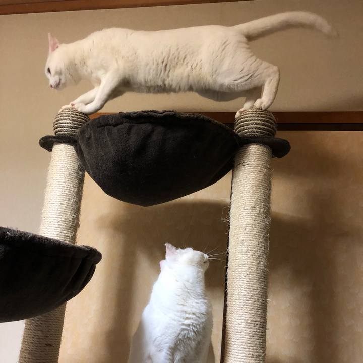 988c6727 ec1b 4615 a56b eaa94da94422 1545740414825