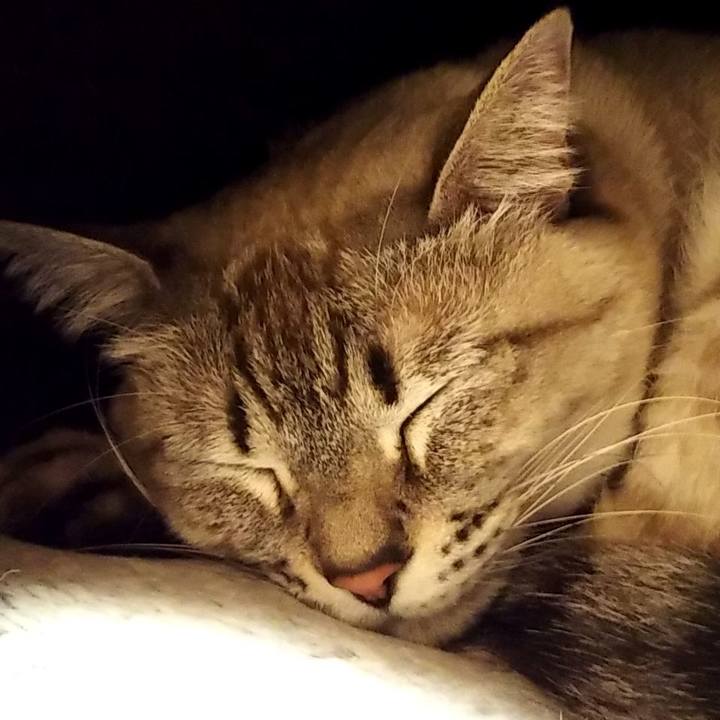 988c8123 6539 4ca6 8647 fdb41cb89bfb 1609169149608