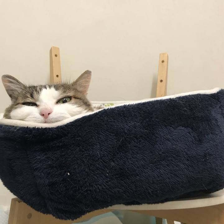 988c903f 2205 4797 b8ad dd9d94c4f544 1555642317054