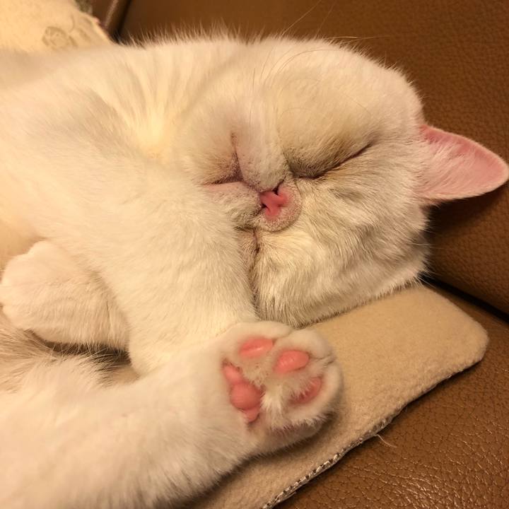 988cf121 bdcd 40a7 95ac ac07b1e1fcd6 1577701758636