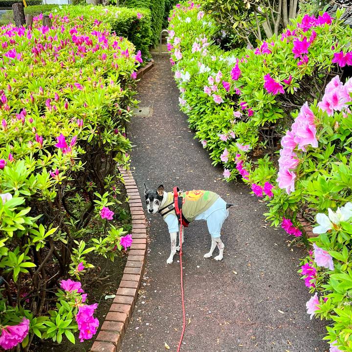 988d2f5d 146e 42ec b54b b43830e1f4f6 1649972546052