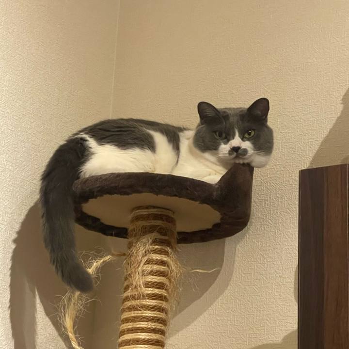 988d392b bb26 48a0 b9d4 6bb7cc6ca833 1752315875334