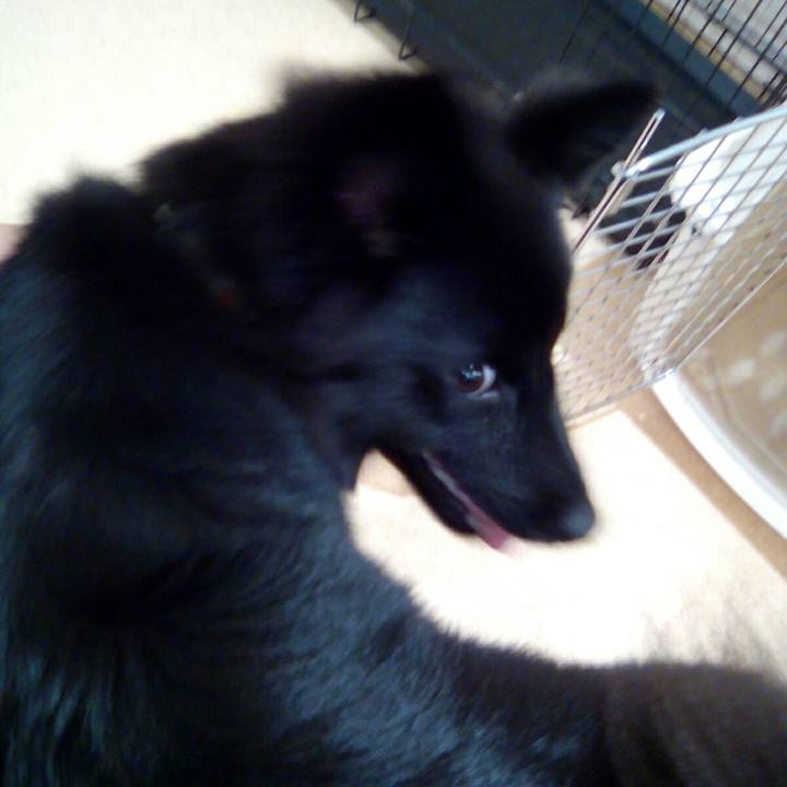 988d5937 183b 44f2 9ff3 2b79aee062e3 1533475318017