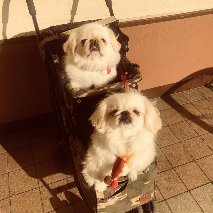 988d834c 0c0d 4eeb 83f6 13d2b6792648 1550583704393