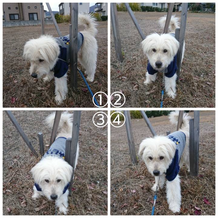 988d895f 2a66 4759 bd41 44d7e5c8bdc1 1574413685814