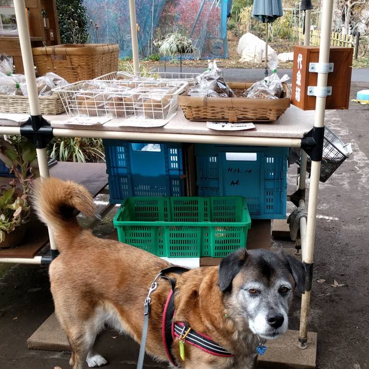 988ddd61 de10 4abc a673 cccd591e43a3 1545528084498