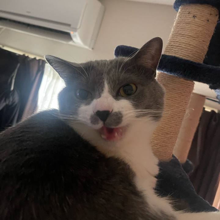 988e1974 a76b 4da0 aecf 0182784b5660 1677622050617