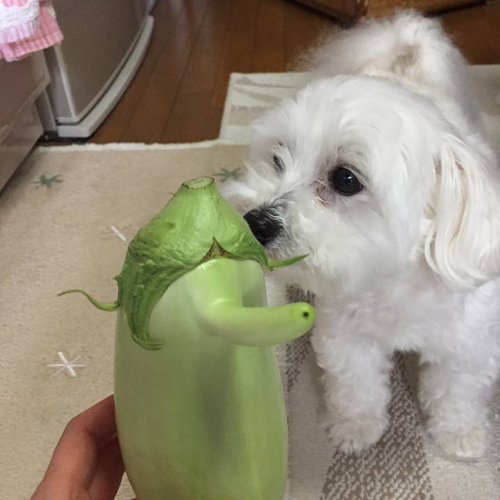 988e1caa 91c7 4c73 9a7c 6ecdd6af255c 1528632068189