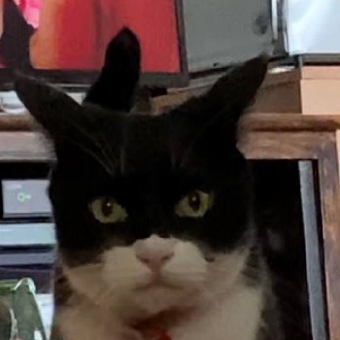 988e34b4 99d9 4803 bf68 25e74e19d4ef 1656238089069