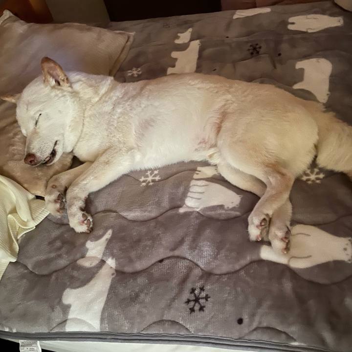 988e71f7 68c5 4e53 a999 5e2b83fdd847 1640651318340