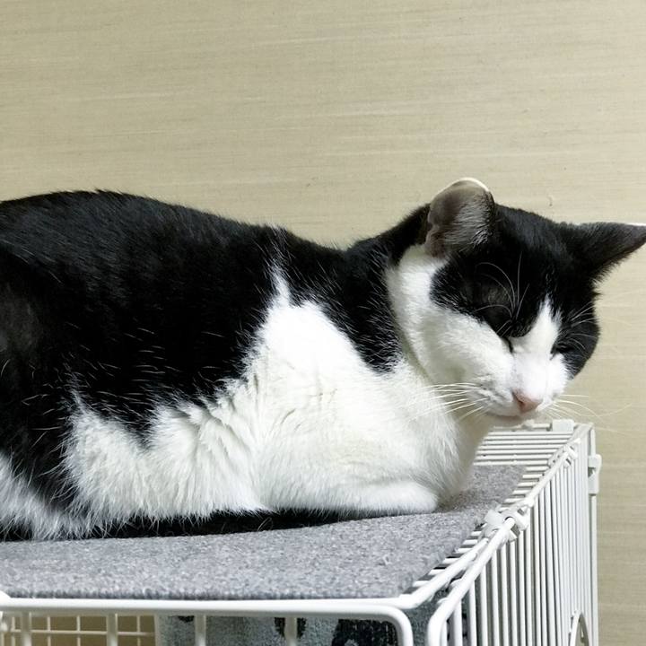 988e81cf 6a14 4b84 8281 3f3c7d958531 1519138290215