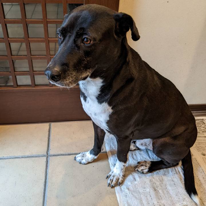 988e9354 d386 4604 adb5 ad648c0d901a 1673917508560