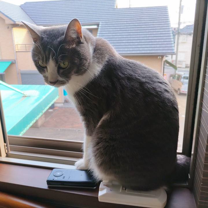 988ec0f5 6d80 44b9 bc90 41207712a4d2 1655504349339