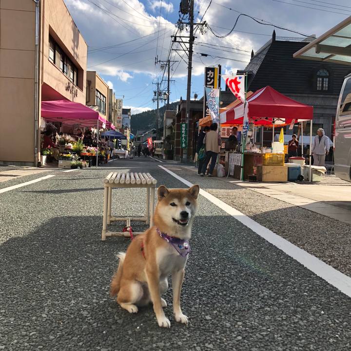 988ecba5 bd20 4078 bc15 c452e4323d8b 1540709699757