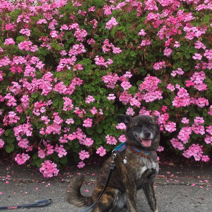 988ef5f5 030b 4de8 996a 8e26dc149c63 1557839009218