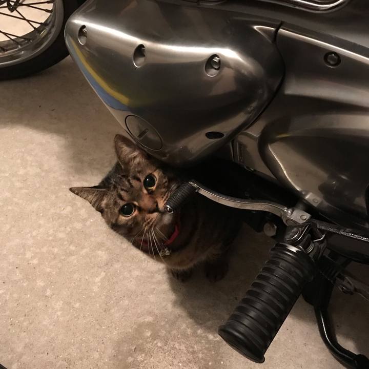 988f43f8 4fe9 49d8 b30e 27e7567d8ca3 1586796156305