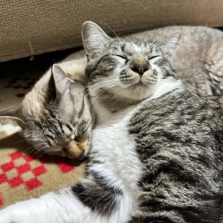 988f5bcd 1b0b 427f ad16 c0177b97b6ba 1673443035769