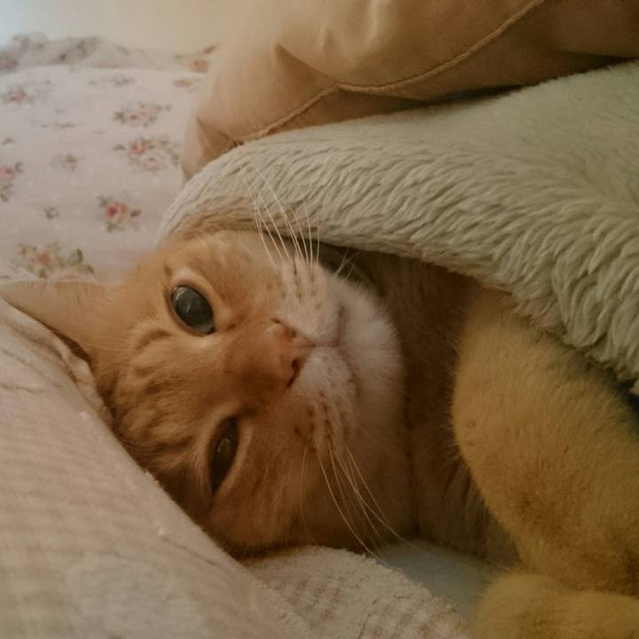 988f6c3a 3f32 4227 90e8 c6094632738e 1522187994921