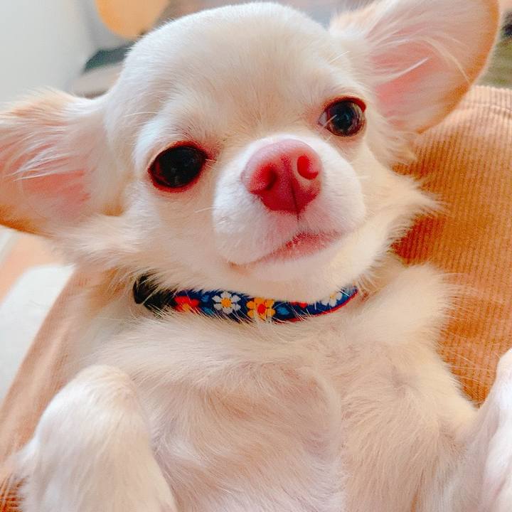 988f7901 5c9e 43f5 a80a 214d562d5dac 1631765372332