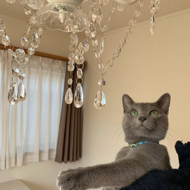 988fa953 b0c7 460d 8aea 96dffdae2486 1575776511293