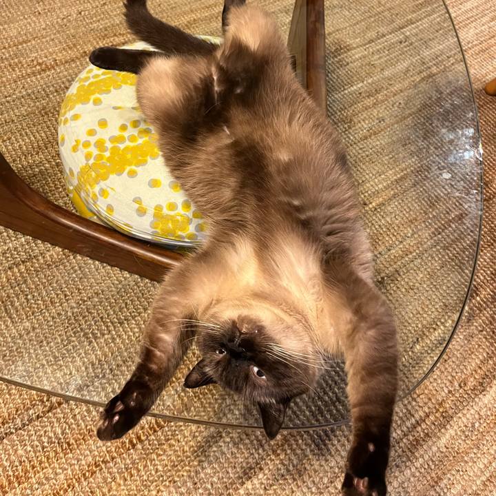 988fae64 9e9e 415f 900f cd8288e4c186 1724846424701