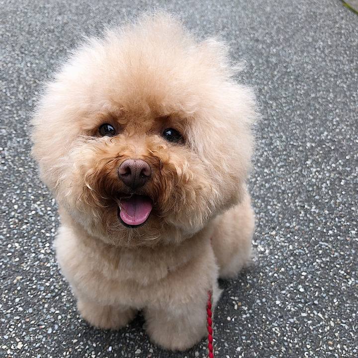 988fc49a 795a 4e1e 8433 62543e0024ba 1536741718850