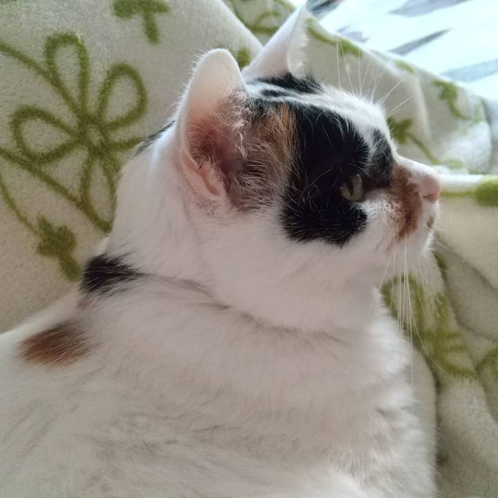 988fe633 c761 4b46 a057 1ef5a5008648 1613979746210