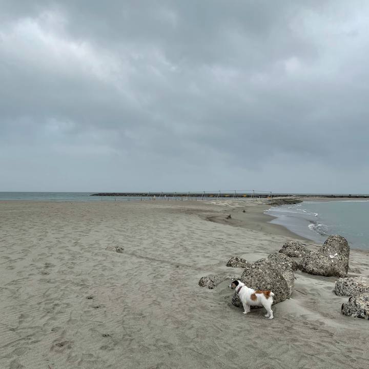 98900b1b 5ec2 4da2 983a 684175574ea0 1617146713581