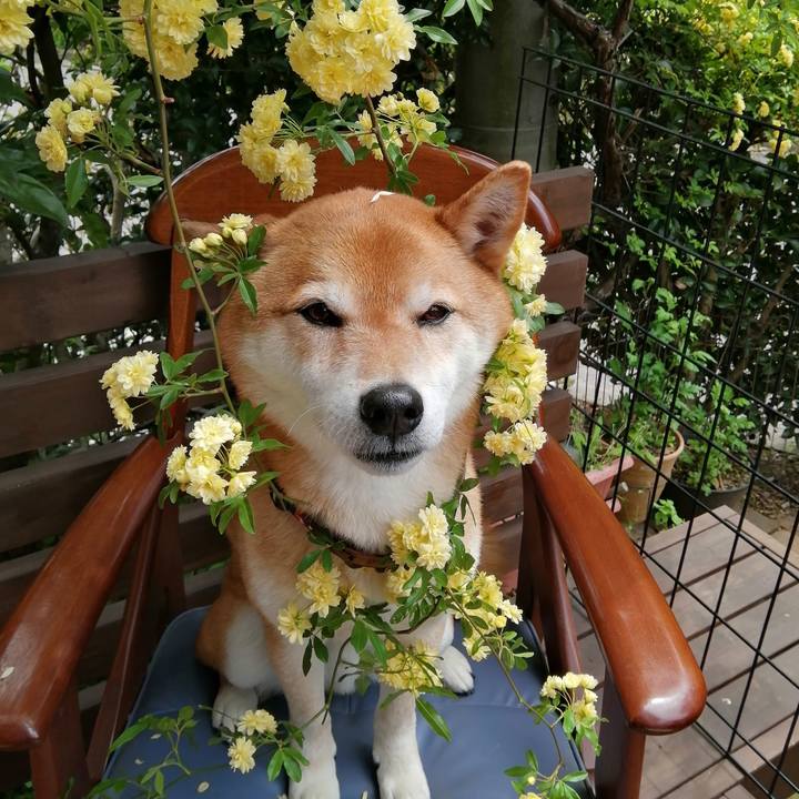 98901cea 5623 444c 9249 6f6bc8223826 1650710165753