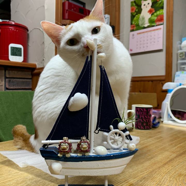 9890276e 91a5 42c5 a898 fe1a62c68f04 1600268129289