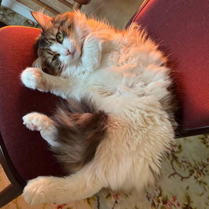 98903641 d544 478e be34 51f12efc9567 1764143478520