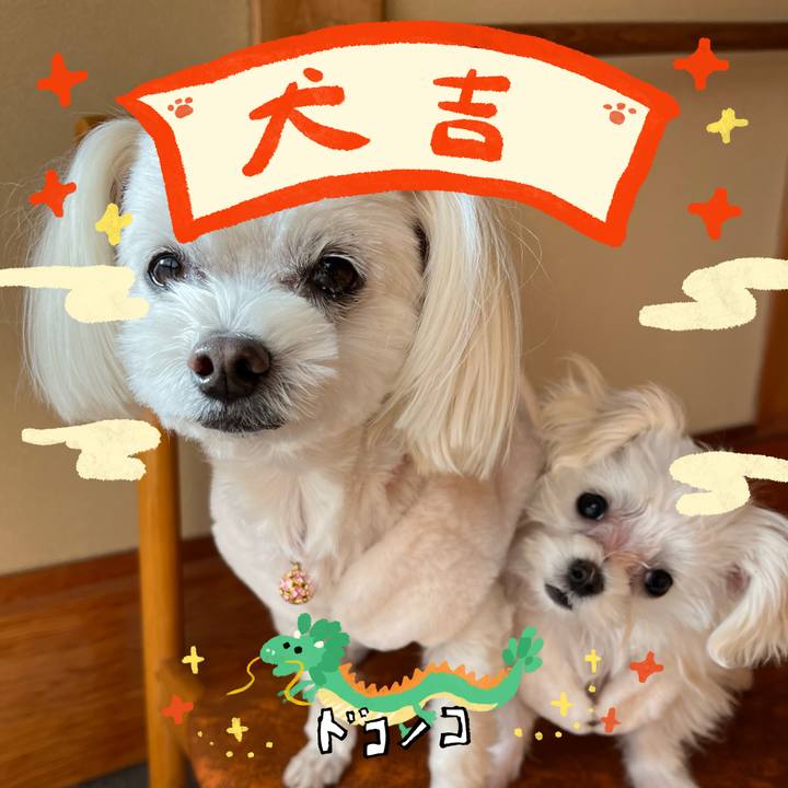 98904cc5 c1b9 4640 9c23 457d6535e2a0 1704093921619