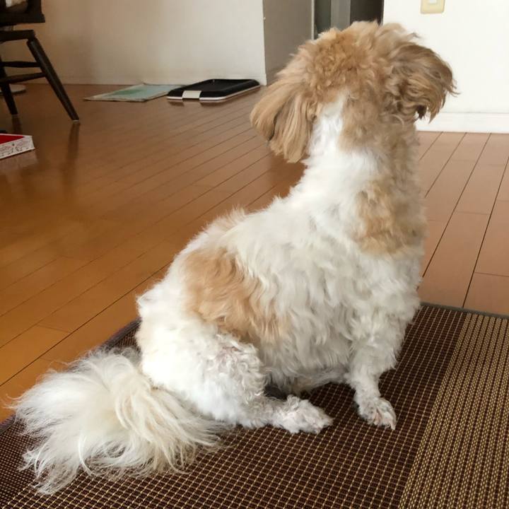 98905dce becb 431b b2e5 3655a1e87a0a 1629323414766