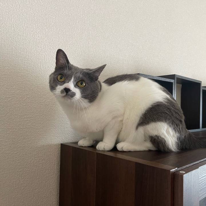 98908d9b 71b7 4c49 8941 331022be4703 1664173478396