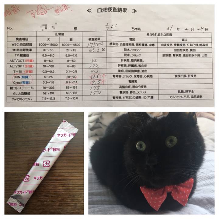 98909af3 6037 49f5 8e60 9f2827740884 1550974680935