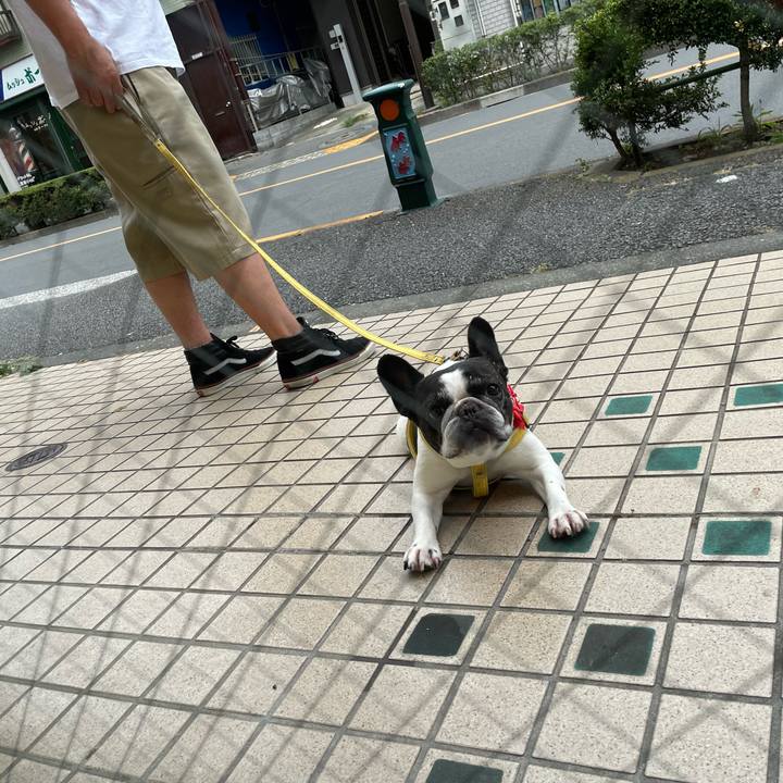 9890ec20 165b 4050 8aae 5e13156f8924 1657423955556