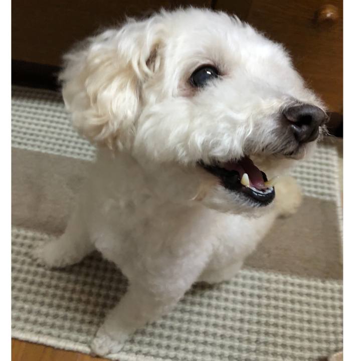 9890eda7 fe5e 4b65 baea d095dc5ba9e6 1534463125735