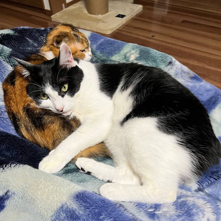 9891027b ceed 45e2 914d 70193b3e4012 1764327626036