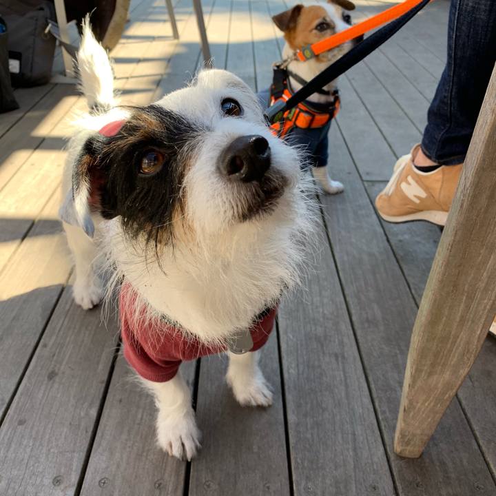 98913d47 8392 494f 9446 59f1af9fc161 1553410999235