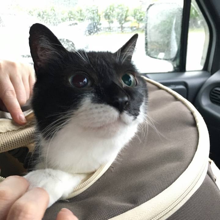 98914925 45a9 4921 a3ee d0e0cd1933aa 1596138455738