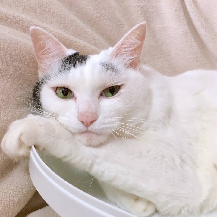 9891c213 44b7 46ea a6cf dfe8b2ee38b9 1568179904508