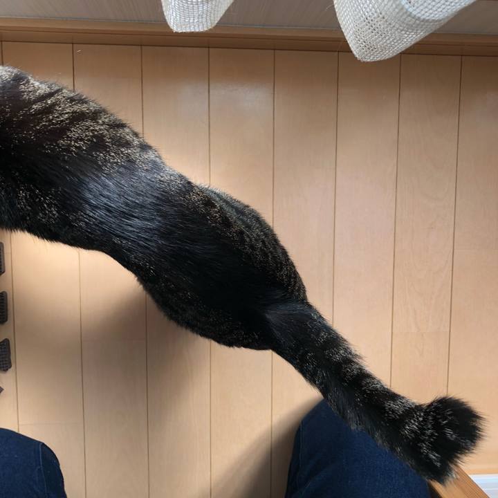 9891fa21 a870 409e 835c f58f9e3dc31e 1522342594548