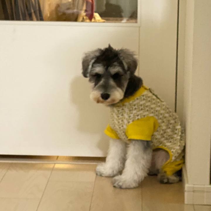 98920cdc bb42 4c9d b5d9 55eb55fcf915 1575717726296