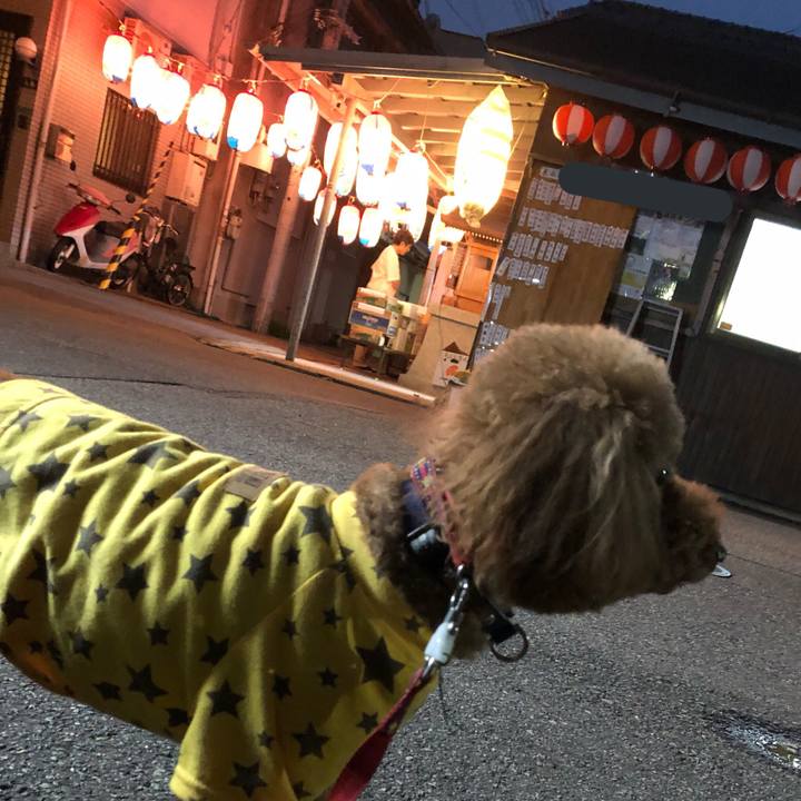 989248bc 3d12 4801 b09e 95ed77695cd2 1566708189048