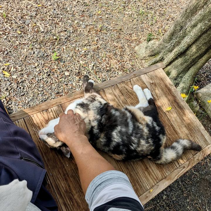 989255c0 e7cb 4bf0 ade6 07b1f9b19e12 1758074362003