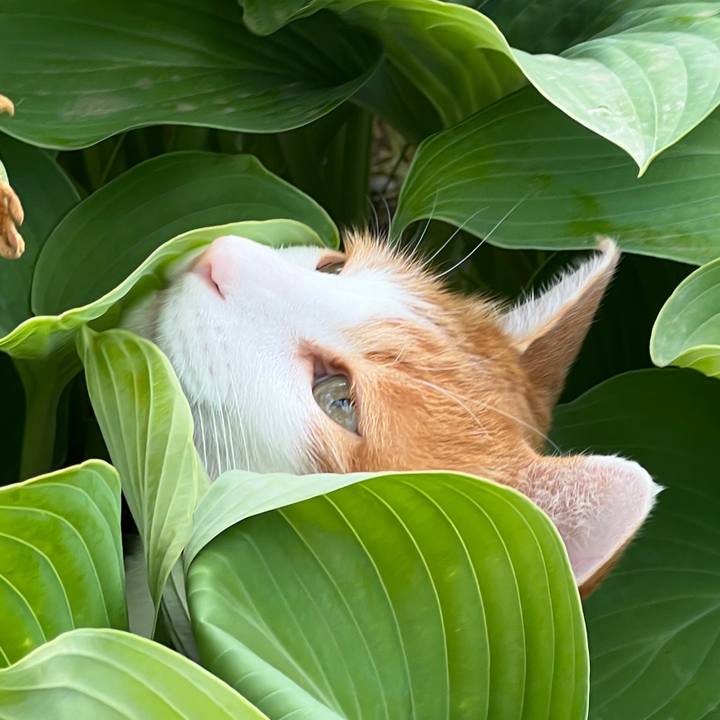 98927b8c 2132 46b2 b4fa b1e81231ea33 1686047859525