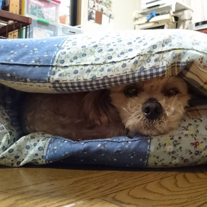 98928bec 58ba 43b4 bed0 d0099ad51192 1560553871827